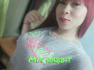 Mia_rabbit