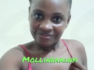 Mollineakinyi