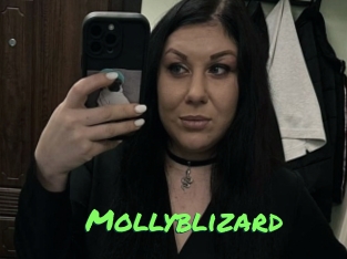 Mollyblizard