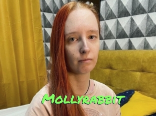 Mollyrabbit