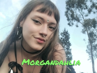 Morgandahlia