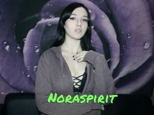 Noraspirit