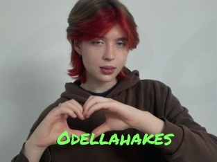 Odellahakes