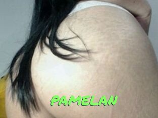 PAMELA_N