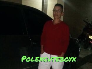 Polexcuteboyx