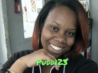 Pudd123