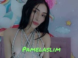 Pamelaslim