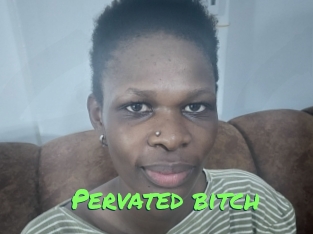 Pervated_bitch