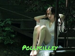 Pollycilley