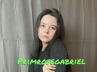 Primrosegabriel