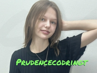 Prudencecodringt