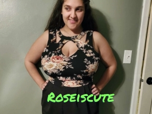 Roseiscute