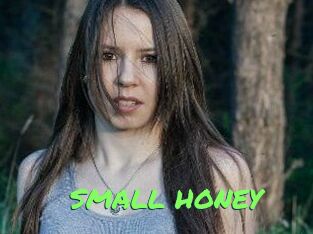 SMALL_HONEY