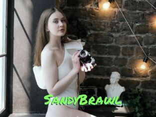 SandyBrawl