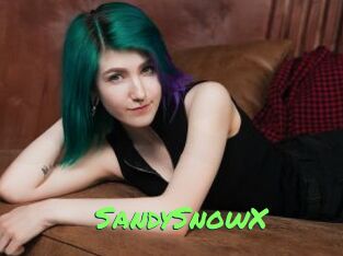 SandySnowX