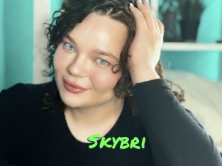 Skybri