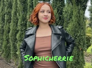 Sophicherrie