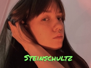 Steinschultz