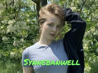 Synnebanwell