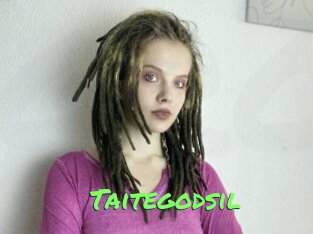 Taitegodsil