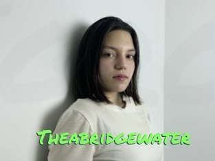 Theabridgewater