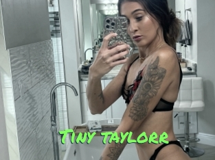 Tiny_taylorr