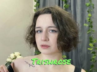 Trishrose