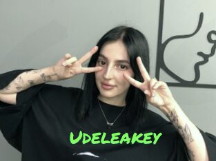 Udeleakey