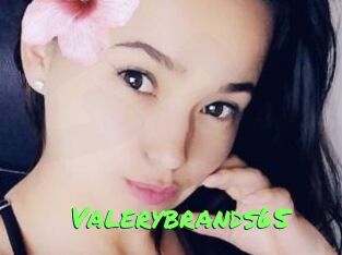 Valerybrands65