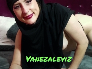 Vanezaleviz