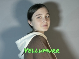 Vellumurr