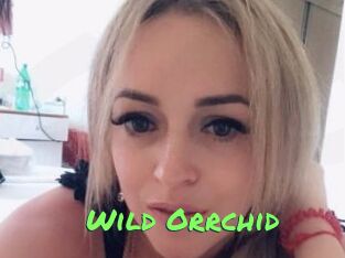 Wild_Orrchid