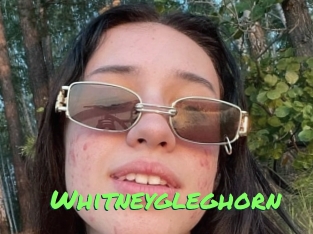 Whitneygleghorn