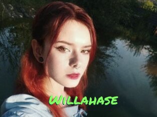 Willahase