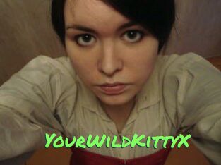 YourWildKittyX